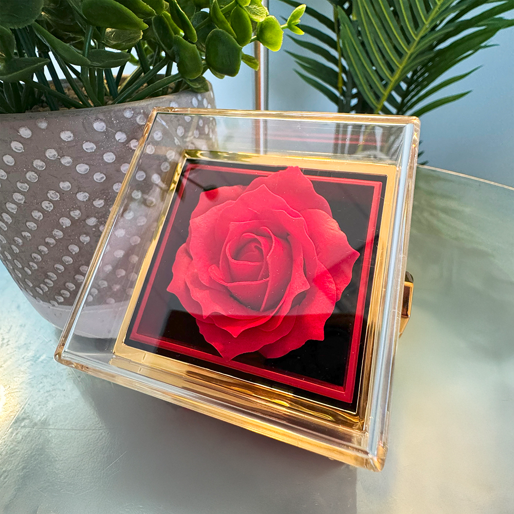 To My Daughter - Love Knot Rose Bond Necklace - Rotating Preserved Rose Gift Box